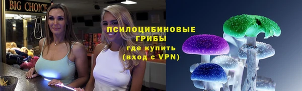 а пвп мука Дмитриев