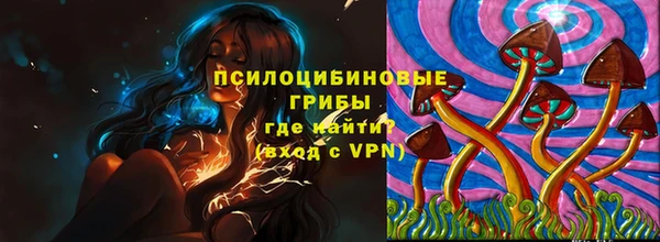 мяу мяу мука Ельня