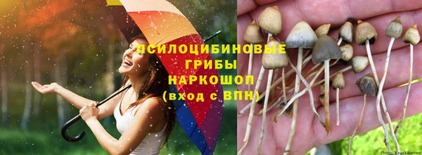 каннабис Дмитровск